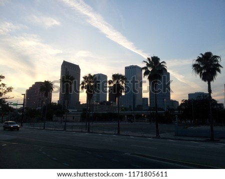 Tampa Downtown Backlit