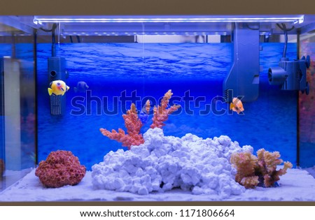 Sea aquarium with rock scape. Tank without water.