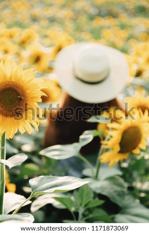 girl with hat, walking on the field of sunflowers, smiling beautiful smile, cheerful girl, style, lifestyle, ideal for advertising and photo the sun is shining bright and juicy