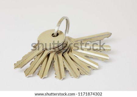 Ten metal keys on ring on white background.