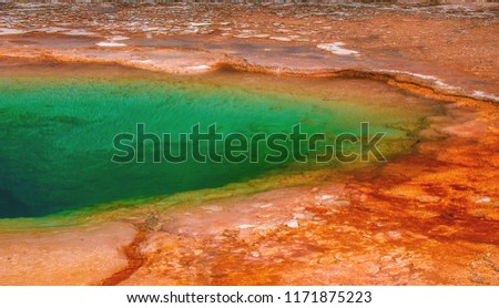 Microbial mats of orange and red growing around the edge of Opal Pool in Midway Geyser Basin of Yellowstone National Park.