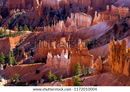 Bryce Canyon National Park in Utah,
one of the most beautiful national parks in the world Royalty-Free Stock Photo #1172010004