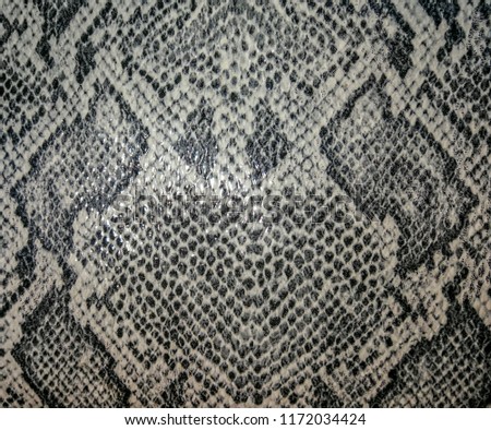 Snake skin texture pattern background .