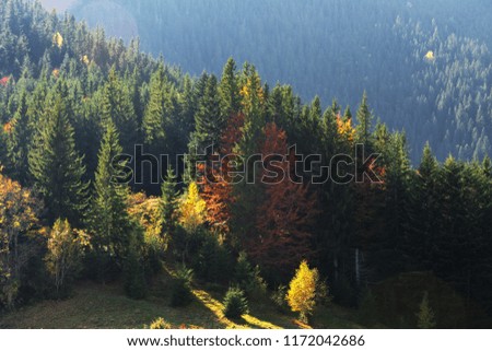 Beautiful autumn landscapes in mountains
