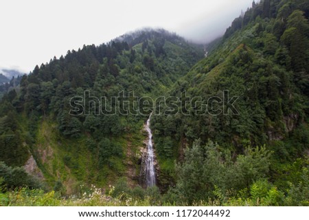 Ayder Plateau Foggy Forest And Natural Waterfall (turkish; Gelintulu Waterfall) From Rize - Turkey