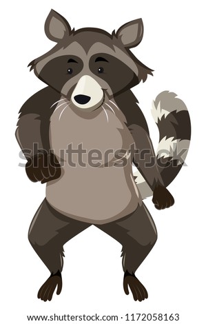 A raccoon dancing on white background illustration