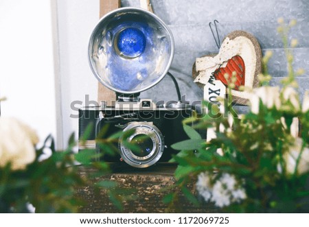 An old camera with external flash light,  blue bulb, on a sunny day, in a photo corner. green plants in the front.