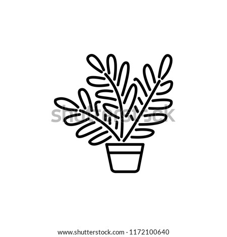 Black & white vector illustration of fern with leaves in pot. Decorative home plant in container. Line icon of indoor green foliage plant for conservatory & terrarium. Isolated object on white backgro