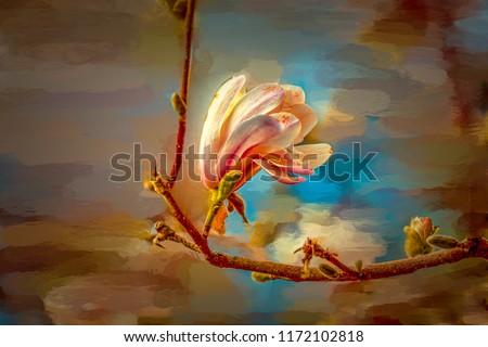 Magnolia abs. Flower of a magnolia flower just beginning to ope in the gardens of City Enkoeping, Enkoping, Sweden. The petals are white with red parts. The original background is digitally painted to