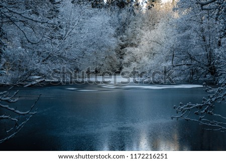 Frozen lake in winter forest