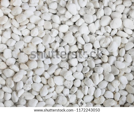 White natural round decorative gravel:white background