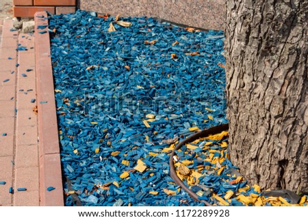 Decoration of trees with natural decorative wooden mulch. City decor in the design of flower beds and plots - a natural pine chip - mulch. A flowerbed covered with bright blue and yellow mulch.