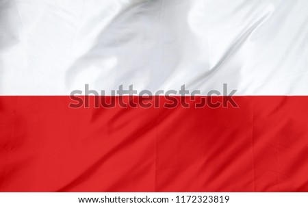 Poland Waving Flag