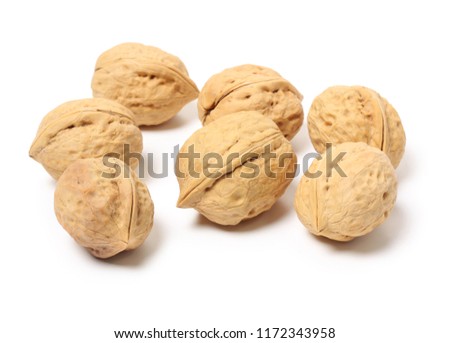 Walnut isolated on the white. With clipping path. Collection