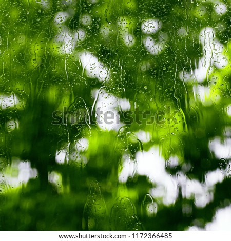 Rain drops on the window with blurry silhouette of a tree in the backgroud with focuse on some waterdrops