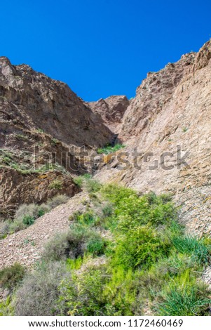 The beautiful colourful spring panorama of rocks and mountains in the steppe. Best time for visit Central Asia for holidays. Tamgaly, Almaty area, Kazakhstan.