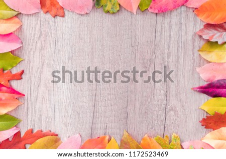 
Colorful leaves are arranged on the wooden floor with copy space use for background