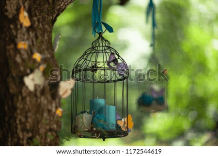
cage on the tree with butterfly and candles 