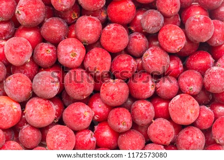 Red small apples background. Frozen Rennet ripe apple. Healthy food concept