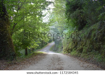 
Beautiful road in the mountain