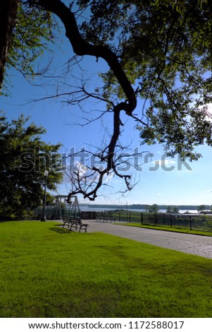Beautiful trees and green grass field with chair near the river in public park in Memphis, Tennessee, USA