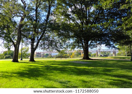 Beautiful trees and green grass field in public park in Memphis, Tennessee, USA