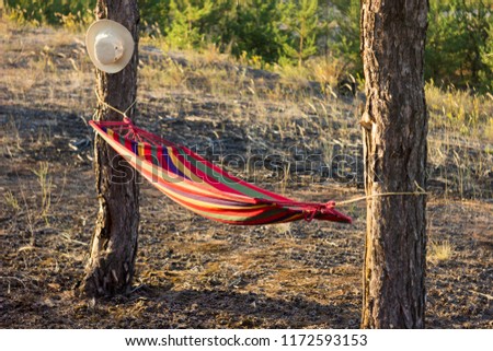Striped hammock in a forest with a white hat hanging on a tree
