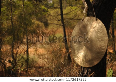 Gong in a forrest setting