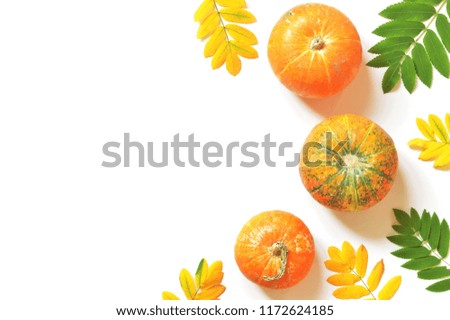 Green and yellow leaves, orange pumpkins. Postcard and banner for Thanksgiving Day