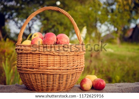 Juicy apples in a basket on a wooden table in the background of a garden