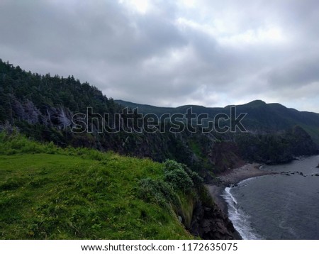 Newfoundland Coast Landscape