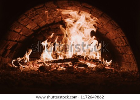 Dark background. Concepts of cooking on a fire in the oven. Close up. Fire in the oven. Pizza in the coals.