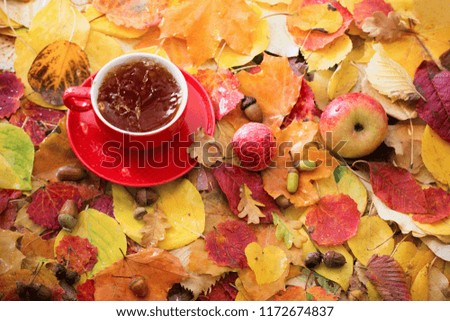 red cup of tea on background autumn leaves