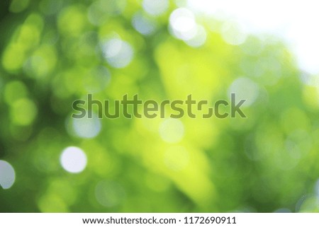 Green nature abstract blurred background.