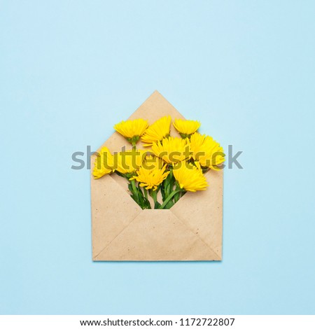 Opened envelope with yellow chrysanthemums on blue background top view flat lay. Festive greeting concept, floral background, happy valentines day, womens day, 8 of march, mothers day