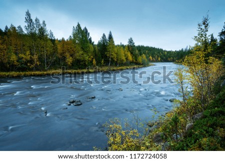River in a forest near fulufjället national park