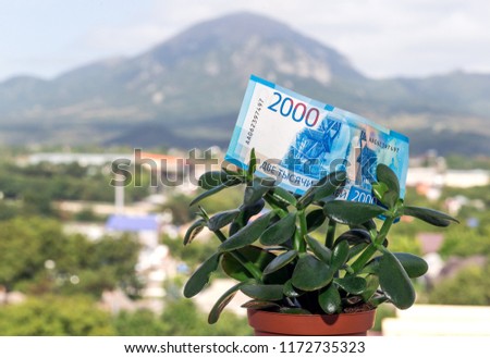 a note of a Russian national currency with a face value of two thousand rubles on a money tree against a backdrop of the mountain