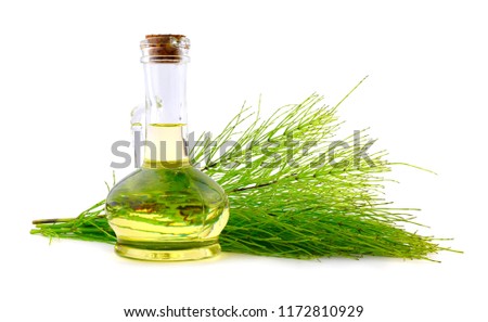 Common Horsetail Medicinal Herb Plant with Distilled Essential Oil Extract and Infusion in a Glass Jug. Also Equisetum Arvense. Isolated on White Background. Royalty-Free Stock Photo #1172810929