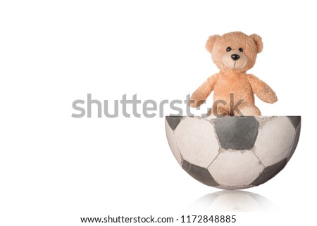 Bear on a soccer ball that is separated from the background.