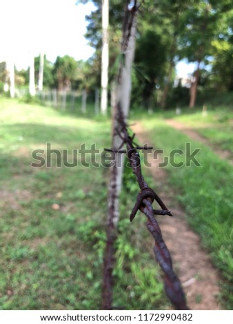 Barbed wire fence Forest Conservation area