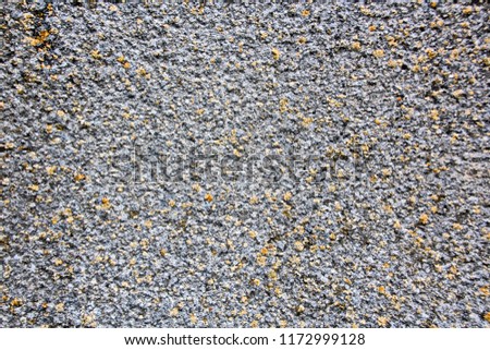 Cement used in decoration and decoration of walls in the form of spraying and patterns. Close-up view.