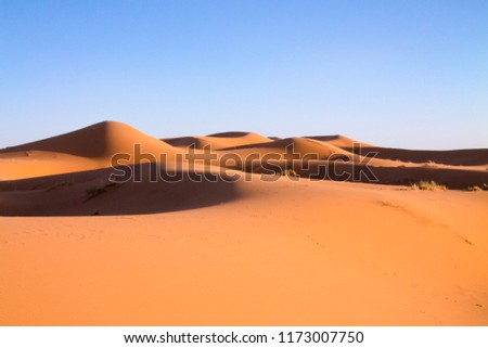 The cave dunes in the Sahara desert under a clear, clear blue sky. Africa, Morocco