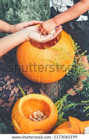 A close up of woman's and child hands pulls seeds and fibrous material from a pumpkin before carving for Halloween. jack-o-lantern. Toned photo. daughter and mother