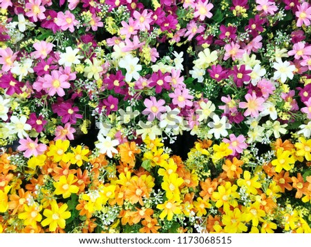  Colorful artificial flowers background
