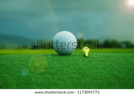 Golf ball and tee on green in beautiful golf course at sunset background.