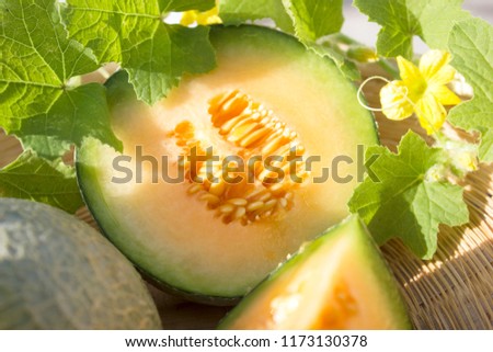 orange cantalupe melon with leaf and flowers in the basket Royalty-Free Stock Photo #1173130378