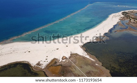 Aerial bird's eye view photo taken by drone of tropical white sandy beach with turquoise clear waters and pine trees