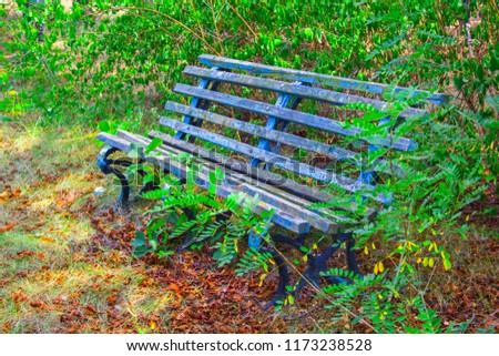 old blue park bench autumn