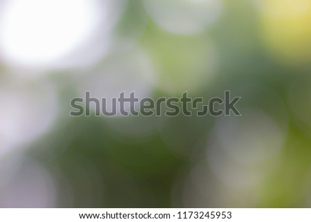 Blur green trees background