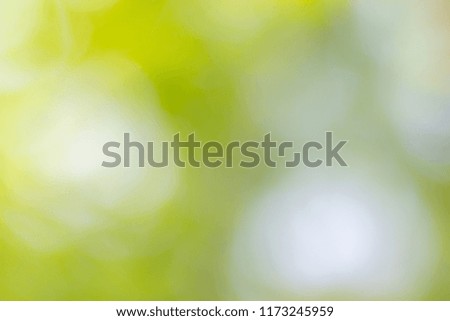 Blur green trees background